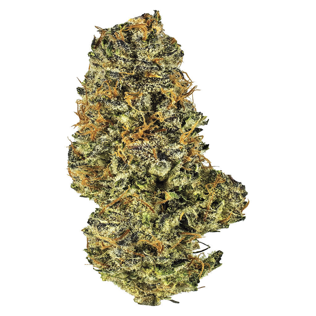 Potluck - Mac and Cheese 7g Dried Flower - Mac and Cheese 7g Dried Flower